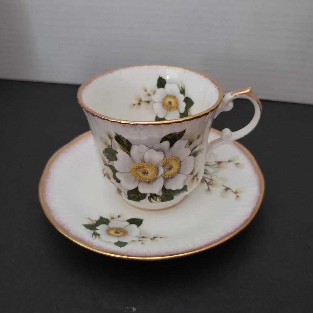 VTG 1975 Queen's Fine Bone China Floral Tea Cup & Saucer By Rosina China